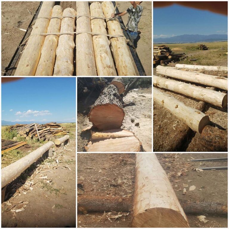 Crooked Creek Timber inc. – Quality Colorado sustainably harvested ...